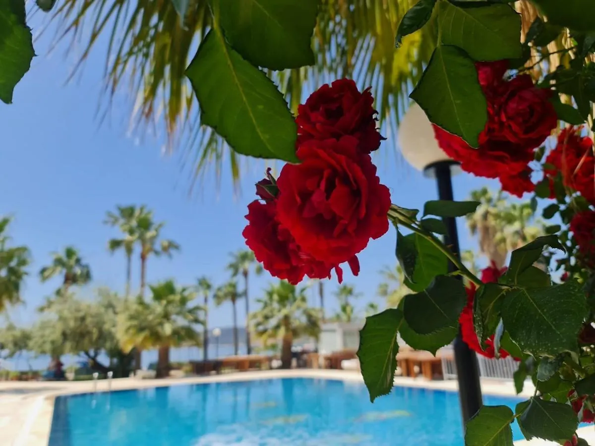 Nagi Beach Hotel Gumbet 3*,  Turkey